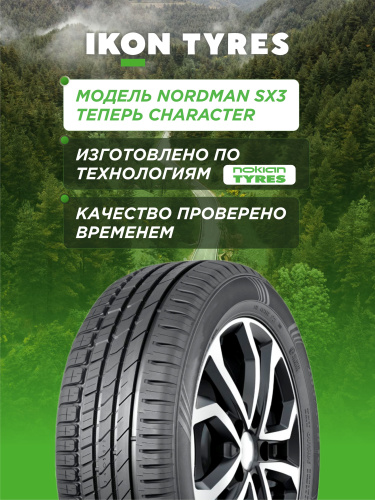 205/55 R16 Ikon Character Eco 91 H б/к