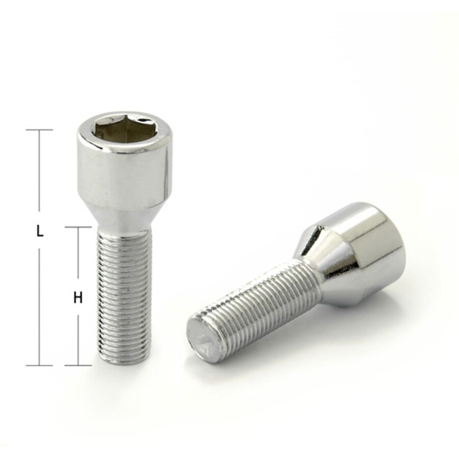 Болт М12*1,25 (55/30, спец.,blister 20+1.CH) 98-0176L BP20